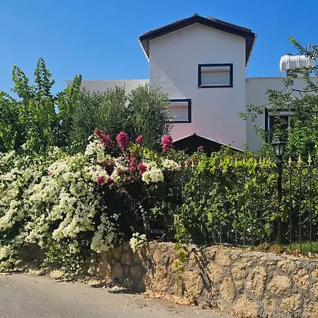 Seafront Villa, Pool Kids Pool, Walkway * לאפיטוס